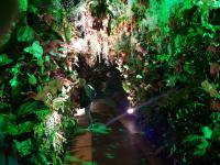 Albums/20200303-Kew Gardens/27